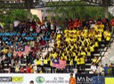DSC07346