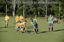 DSC_1100