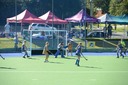 DSC_1910.JPG