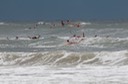 DSC_2873.jpg