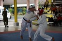 DSC_3976.JPG