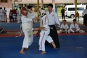 DSC_4004.JPG
