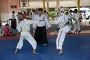 DSC_4019.JPG
