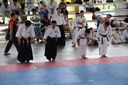 DSC_4124.JPG
