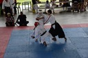DSC_4137.JPG