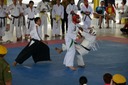 DSC_4214.JPG