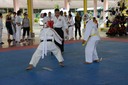 DSC_4253.JPG
