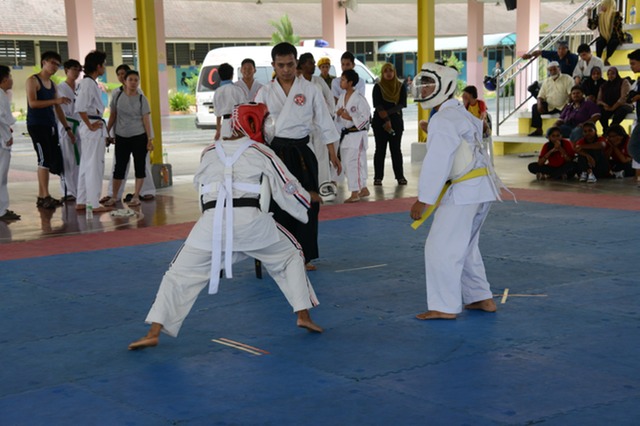 DSC_4253.JPG