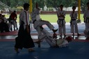 DSC_4317.JPG