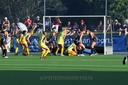 DSC_5551.JPG