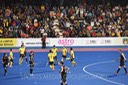DSC_7255 copy