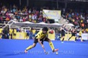 DSC_7281 copy