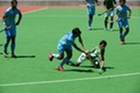 DSC_8705.JPG