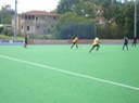 IMGP2733.JPG