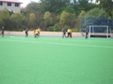 IMGP2736.JPG