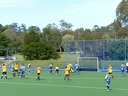 P1000438